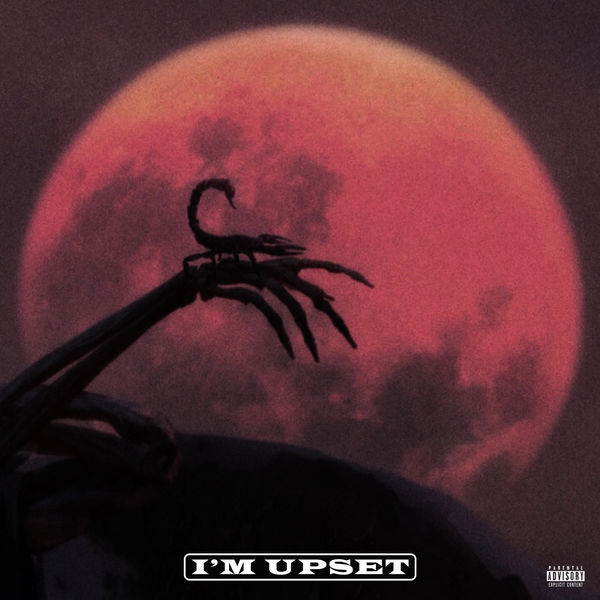 Im-Upset-Drake