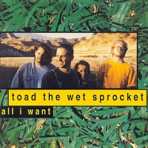 all-i-want-toad-the-wet-sprocket